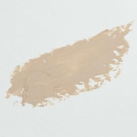 FONDOTINTA STICK