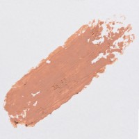 FONDOTINTA STICK