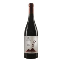 Confezione 6 Bottiglie 75 cl - Gaio Pompeiano Rosso Frizzante 
