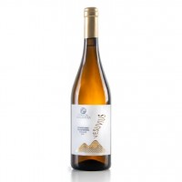 Confezione 6 Bottiglie 75 cl - Vesuvius Pompeiano Falanghina