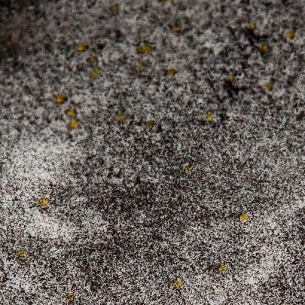 Eyeliner Glitter